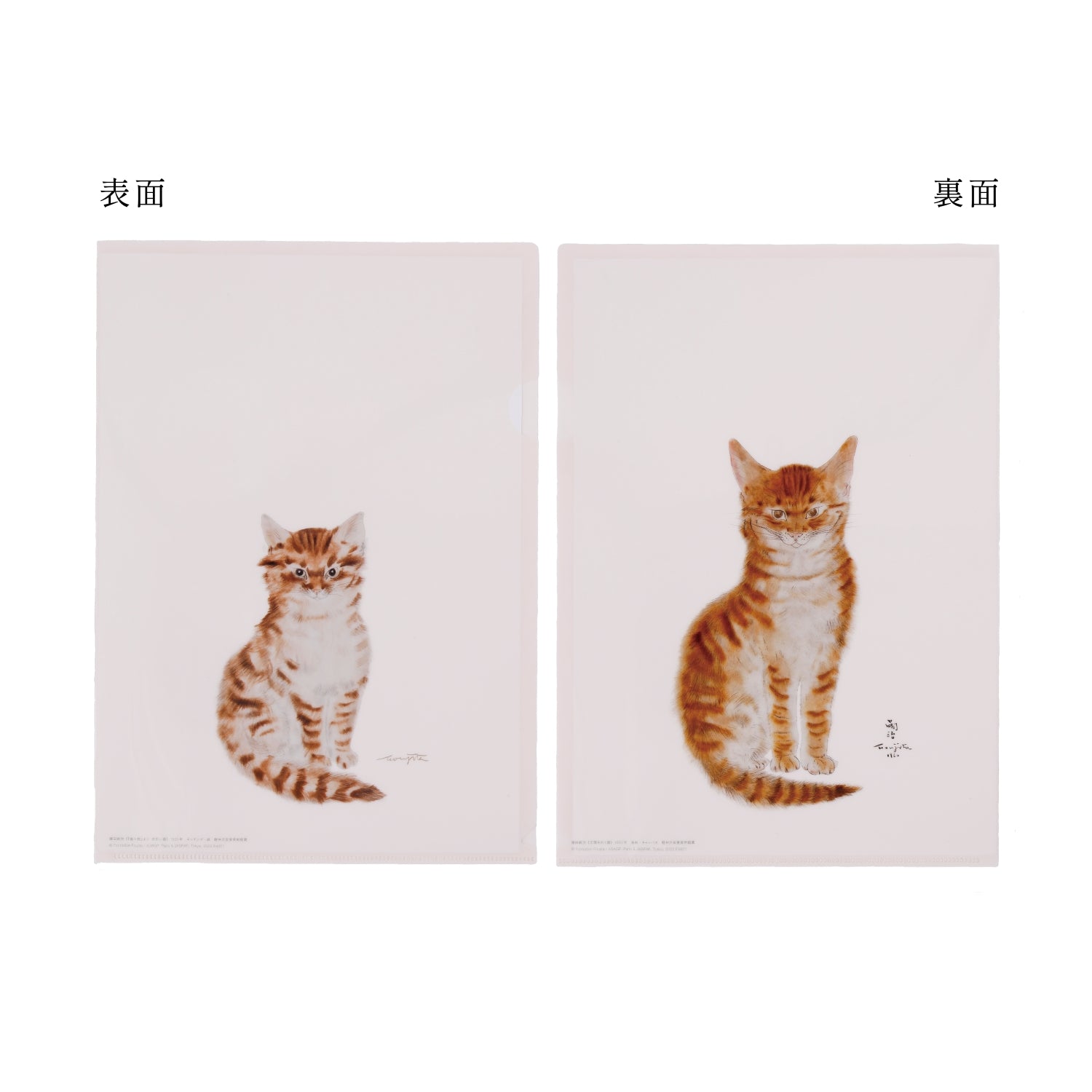 ふんわり子猫のまなざし(鉛筆画)(A4サイズ)(額無し) 猫の鉛筆画 2025.04.04 | ミケパンチ / mikepunch