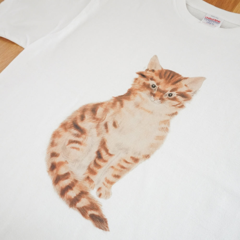 Tシャツ 『猫十態』より 茶色い猫