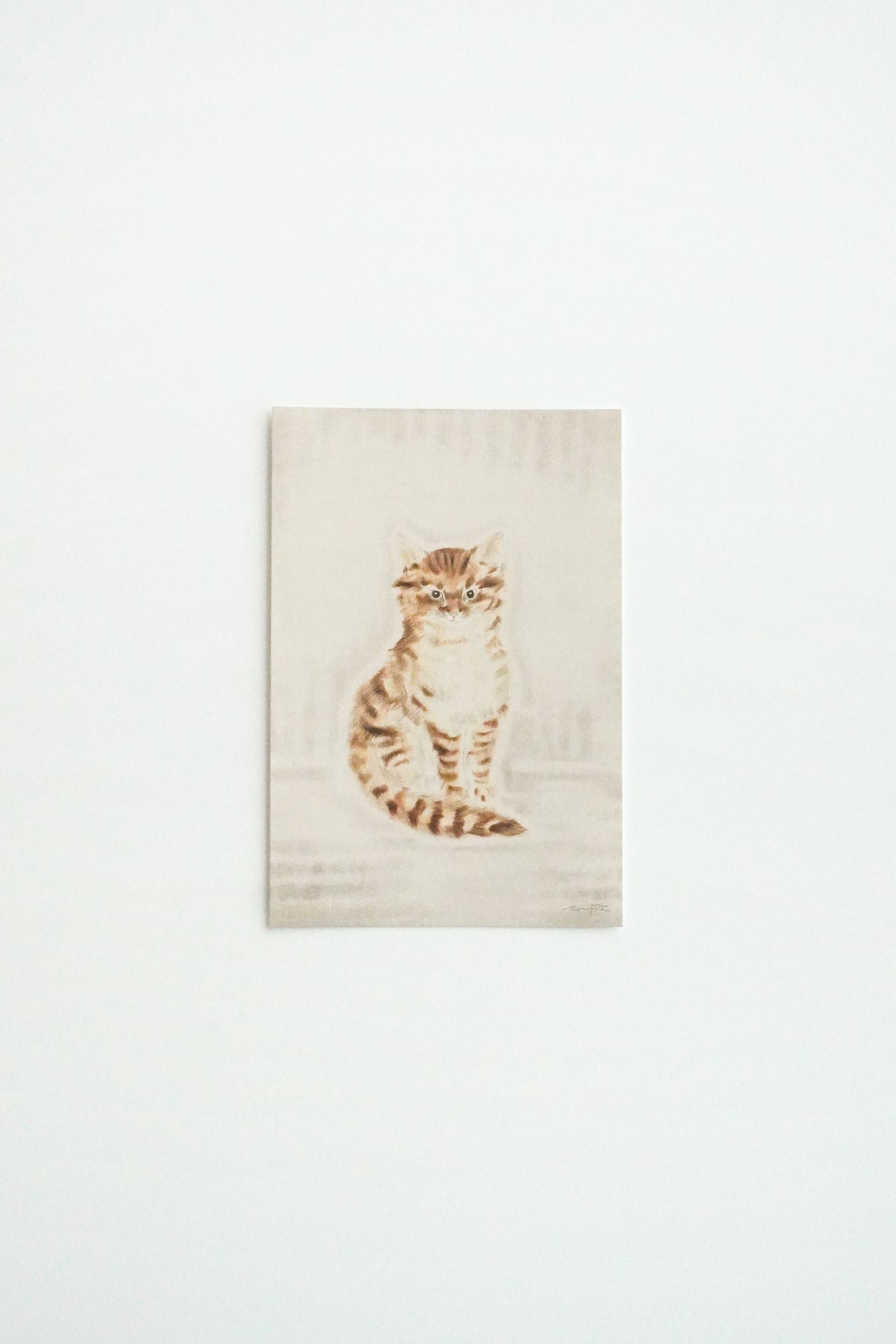 D Postcard Set Cat Series