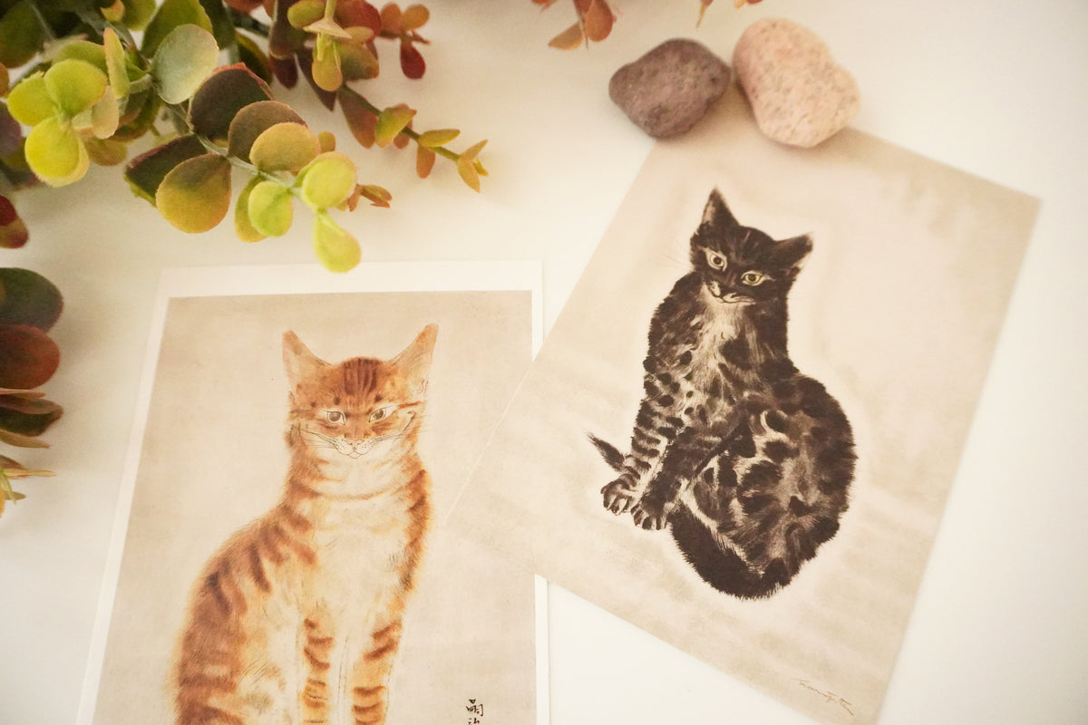 D Postcard Set Cat Series