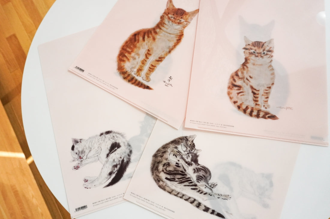 ふんわり子猫のまなざし(鉛筆画)(A4サイズ)(額無し) Amazon | サンスター文具(Sun-Star Stationery) ねこに転生した