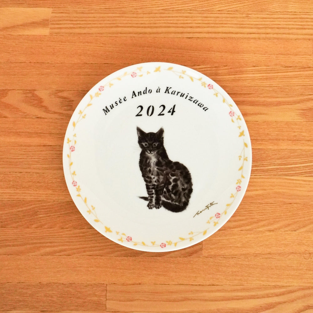 Year Plate Set 2023-2025